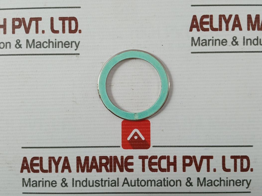 Valqua F0231460 Gasket/Green Tight 300-25A Af03-0035