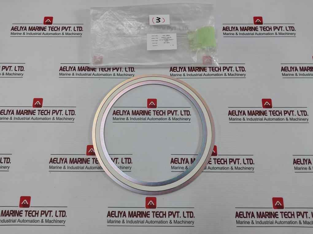 Valqua Vn 10K-200 Ctf Outlet Flange Gasket