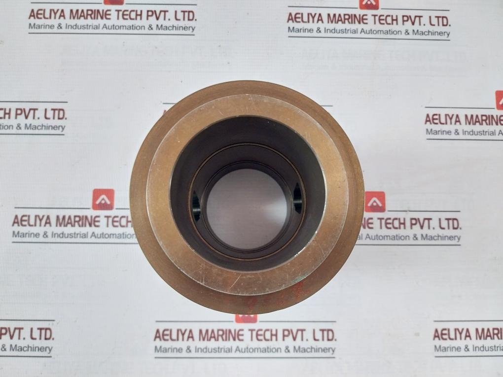 Valve Cage For A Deaerator Level Control Valve