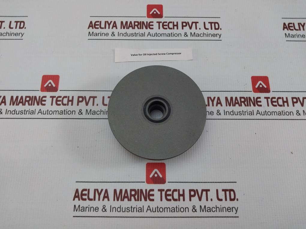 Valve For Oil Injected Screw Compressor