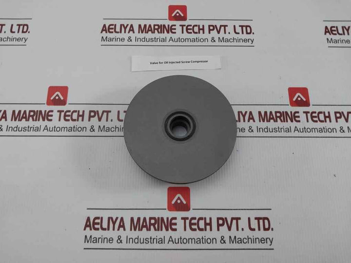 Valve For Oil Injected Screw Compressor