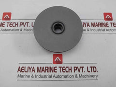 Valve For Oil Injected Screw Compressor