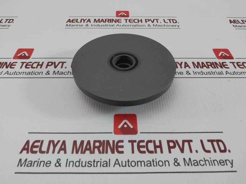 Valve For Oil Injected Screw Compressor