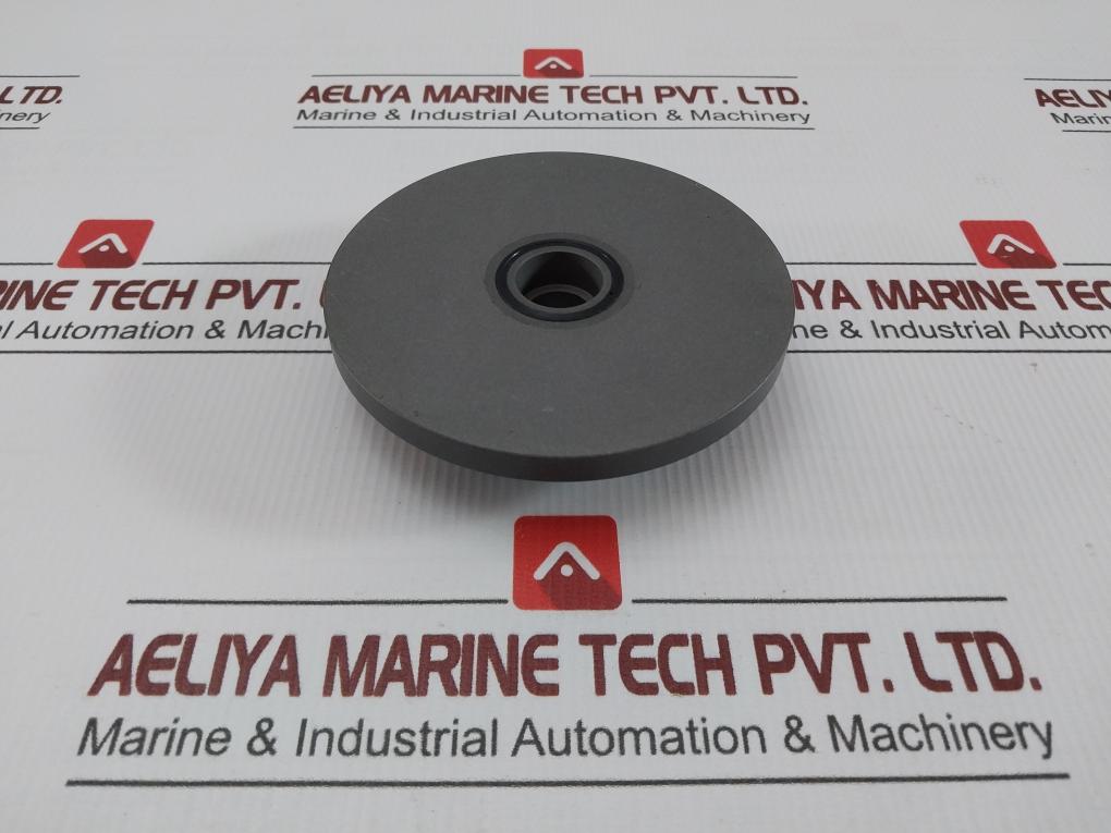 Valve For Oil Injected Screw Compressor