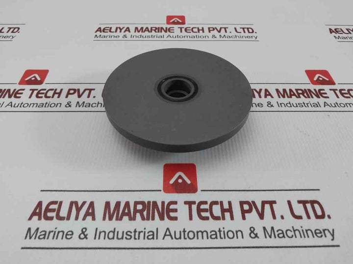 Valve For Oil Injected Screw Compressor