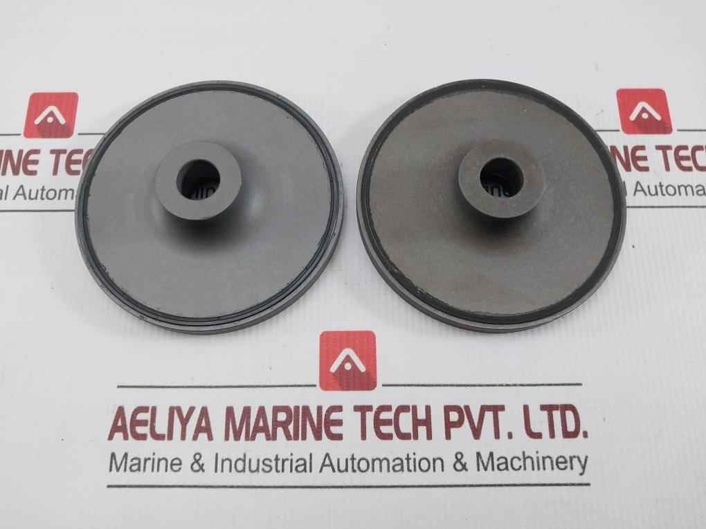 Valve For Oil Injected Screw Compressor