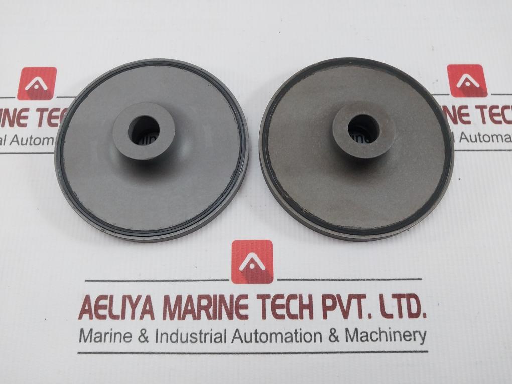 Valve For Oil Injected Screw Compressor
