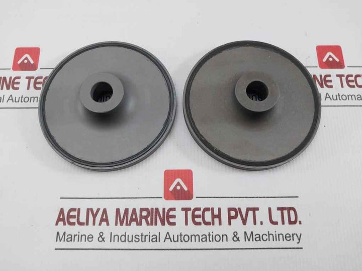Valve For Oil Injected Screw Compressor