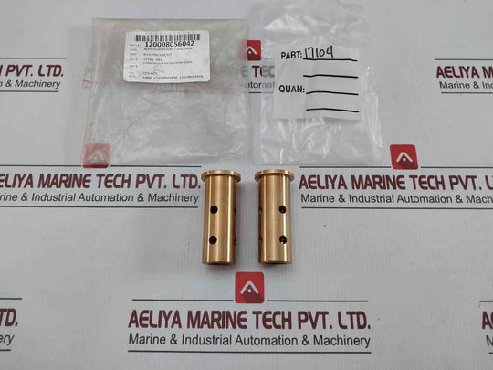 Valve Plate Bushing 17104 X81
