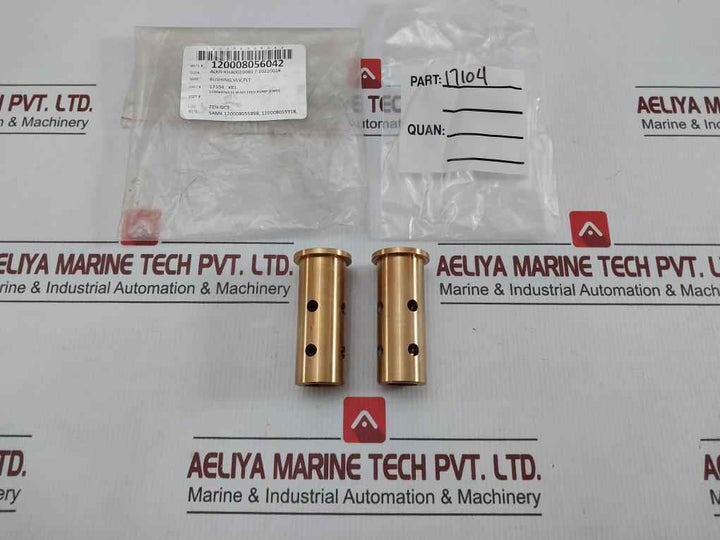 Valve Plate Bushing 17104 X81