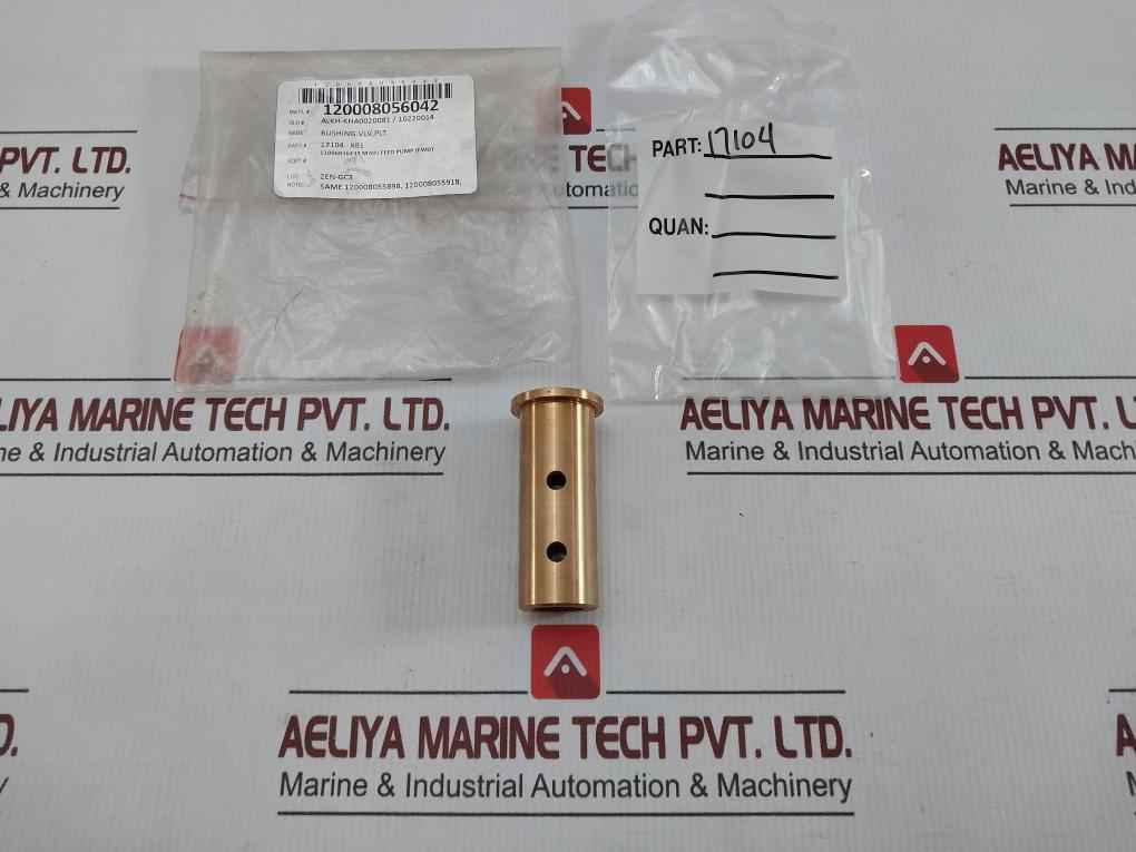 Valve Plate Bushing 17104 X81