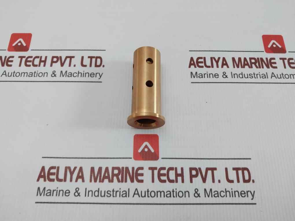 Valve Plate Bushing 17104 X81