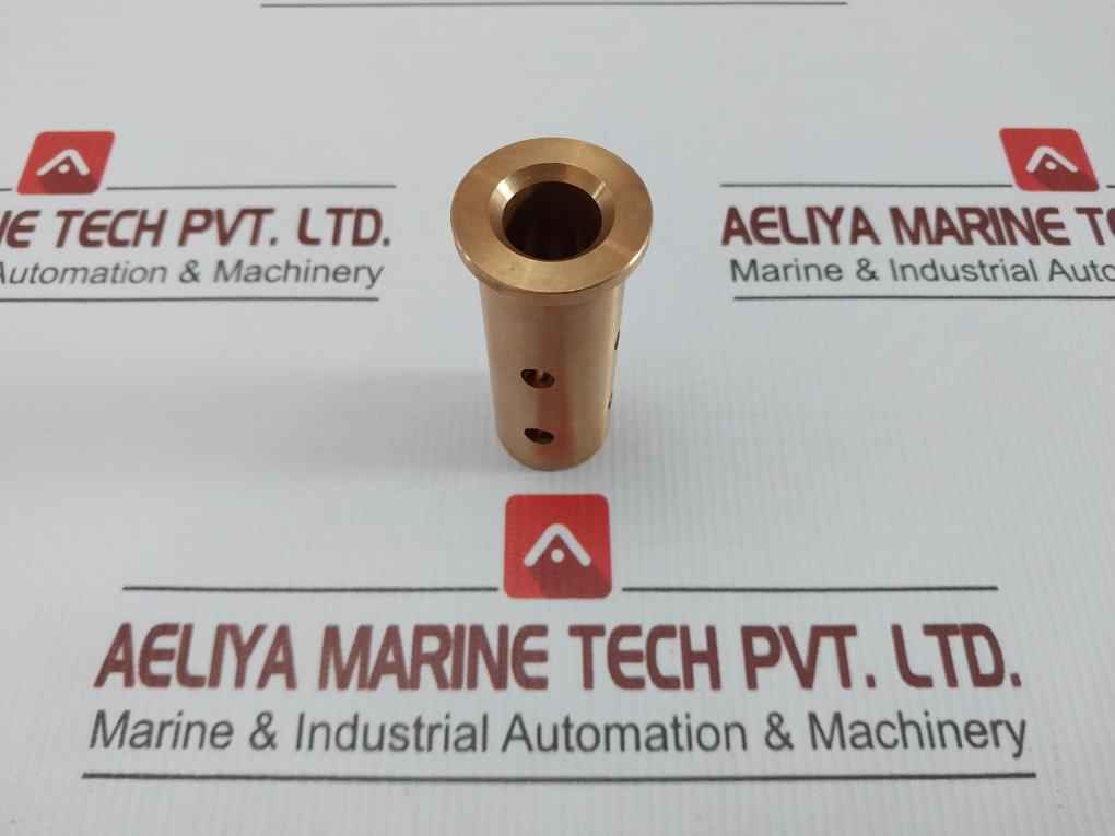 Valve Plate Bushing 17104 X81