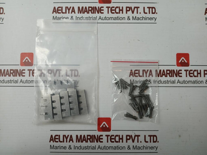 Vane Kit V-923158R (10 Vanes & 30 Springs)