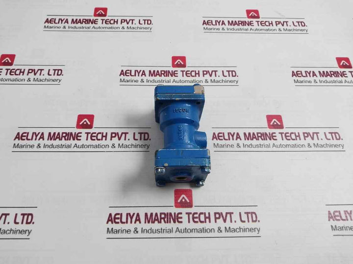Vatec 15006 Inline Valve Body-blue Cast Metal, Flanged Ends, Heavy Duty