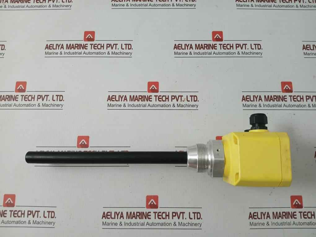 Vega Oil Detector-capacitive Cap21.Xgbasexxkr