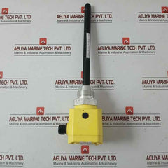 Vega Oil Detector-capacitive Cap21.Xgbasexxkr