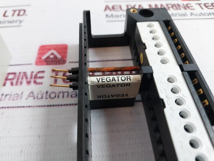 Vegator 420 Z Capacitive Level Switch 0-20 Sec, 250V~