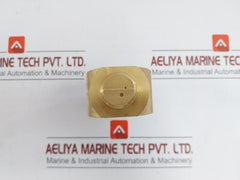 Driving Nut Velan