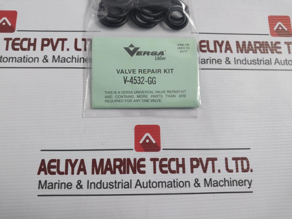 Versa V-4532-gg Pneumatic Valve Repair Kit Rev-c