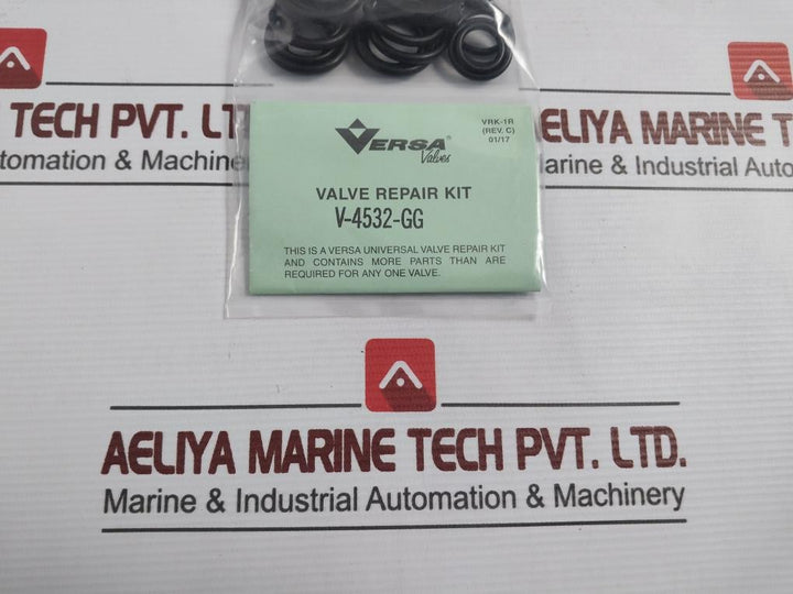Versa V-4532-gg Pneumatic Valve Repair Kit Rev-c