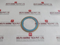 Vortex 1834-na-eos Flange Gasket Cs 600Lbx98X117X133X4.5 0Ab-000-00A