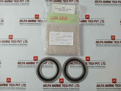 Vortex Gr-304 Flange Gasket 20K-65A J4B2 20-0072-1/2020-sb3201