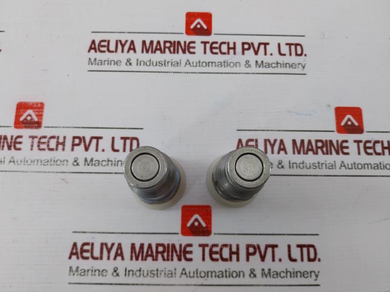 Voswinkel Sks10ir2fs Quick Release Coupling