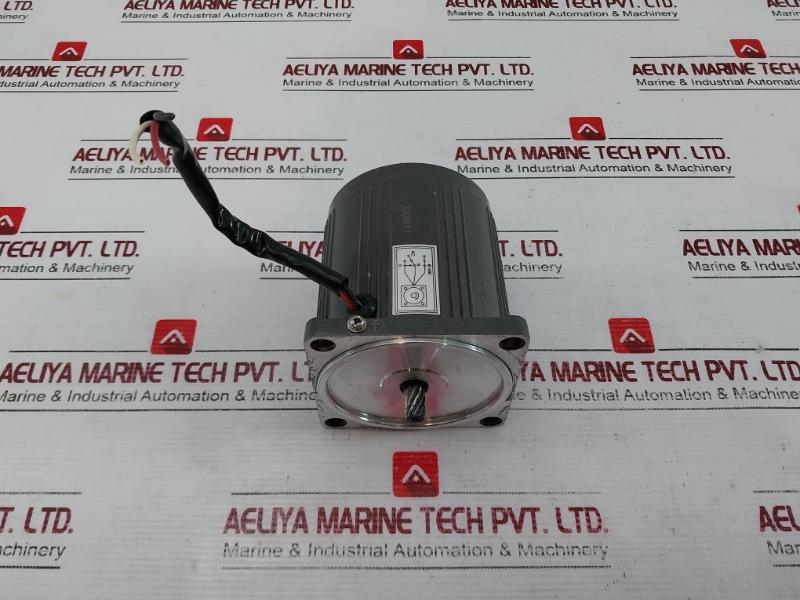 Vtv Motor Yn80-25 Precision Gear Motor 25W 220V 50/60Hz 2.0µF 0.35A