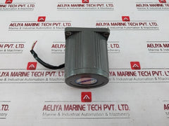Vtv Motor Yn80-25 Precision Gear Motor 25W 220V 50/60Hz 2.0µF 0.35A