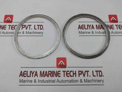 Vvg-0008.381 Body Bonnet Gasket For Cryogenic Cargo Valve Poyam