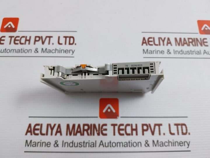 Wago-Analog-Input-Module-24vdc-10a-750-613-3