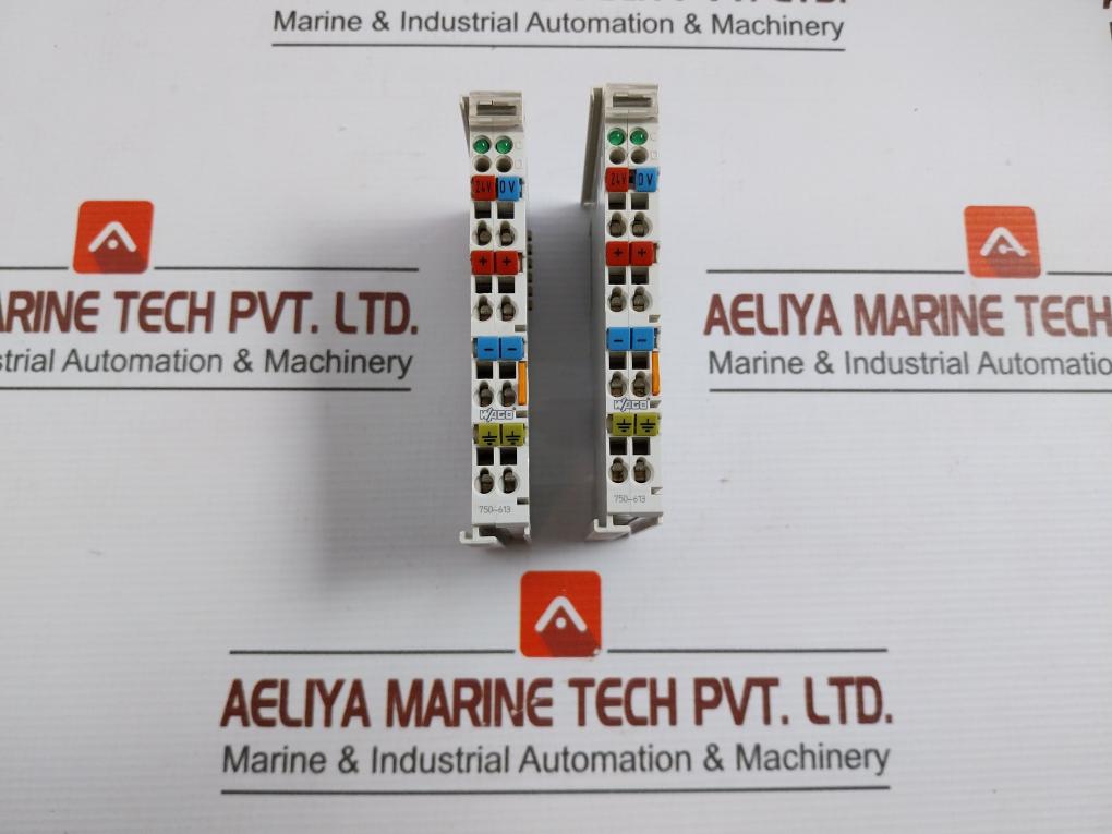 Wago-Analog-Input-Module-24vdc-10a-750-613-5