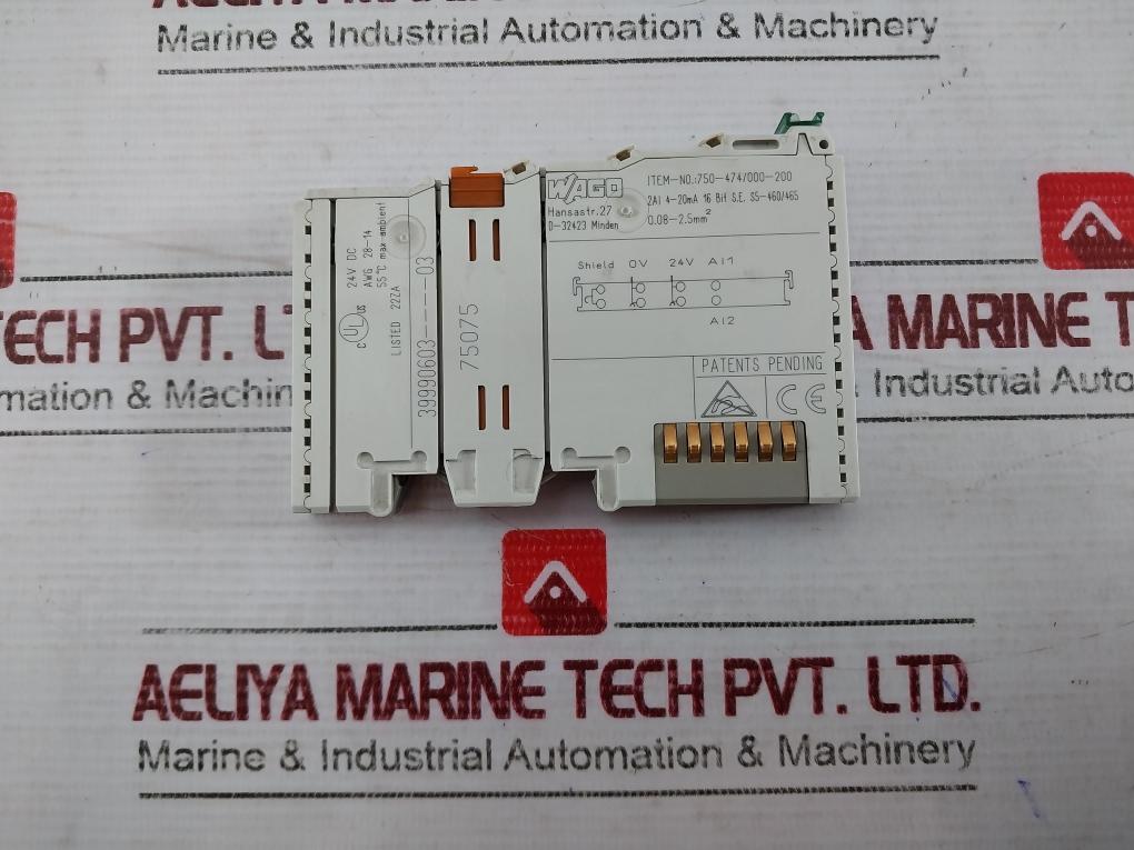 Wago 750-474/000-200 2-channel Analog Input 24V Dc 6388900