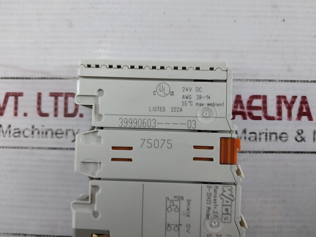 Wago 750-474/000-200 2-channel Analog Input 24V Dc 6388900