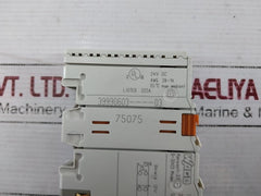 Wago 750-474/000-200 2-channel Analog Input 24V Dc 6388900