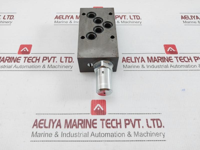 Bvasa10-a-160 Hydraulic Pressure Relief Valve 160Bar Wandfluh