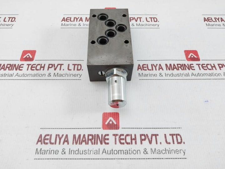 Bvasa10-a-160 Hydraulic Pressure Relief Valve 160Bar Wandfluh