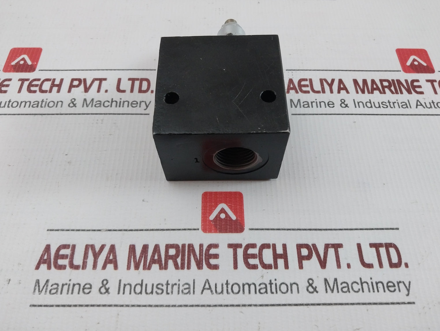 Wandfluh Bvsgg12-350-y-22C02-z178 Pressure Relief Valve