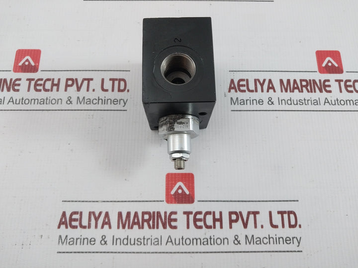 Wandfluh Bvsgg12-350-y-22C02-z178 Pressure Relief Valve