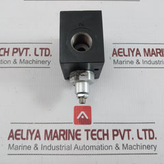 Wandfluh Bvsgg12-350-y-22C02-z178 Pressure Relief Valve
