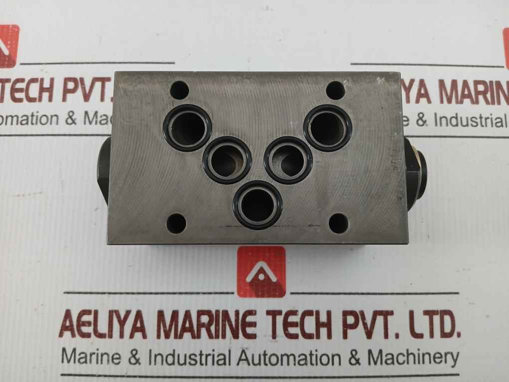 Wandfluh Hydraulic Pressure Relief Valve Aervb10 250Bar