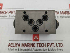 Wandfluh Hydraulic Pressure Relief Valve Aervb10 250Bar