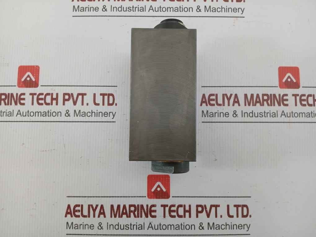 Wandfluh Hydraulic Pressure Relief Valve Aervb10 250Bar