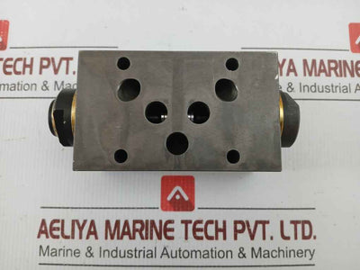 Wandfluh Hydraulic Pressure Relief Valve Aervb10 250Bar