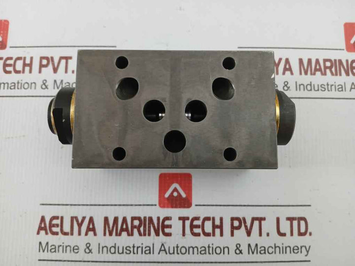 Wandfluh Hydraulic Pressure Relief Valve Aervb10 250Bar