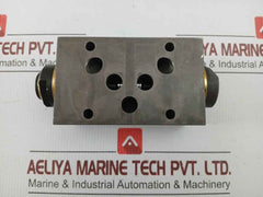 Wandfluh Hydraulic Pressure Relief Valve Aervb10 250Bar