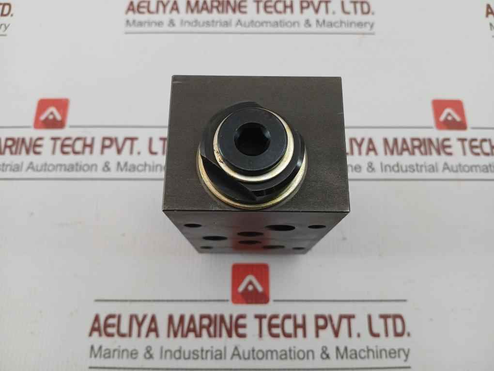 Wandfluh Hydraulic Pressure Relief Valve Aervb10 250Bar