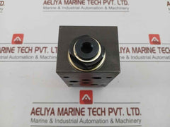 Wandfluh Hydraulic Pressure Relief Valve Aervb10 250Bar