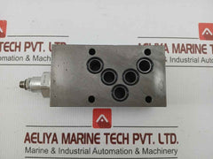 Wandfluh Hydraulic Valve 160 Bar Bvasa10-a-160